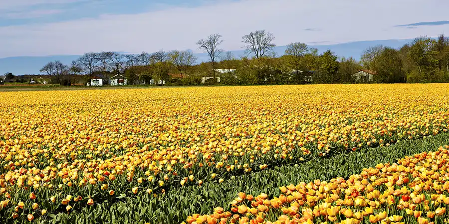 088 | 2024 | Umgebung von Sint Maartensvlotbrug | © carsten riede fotografie