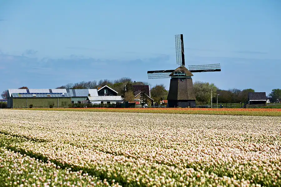 091 | 2024 | Umgebung von Sint Maartensvlotbrug | © carsten riede fotografie