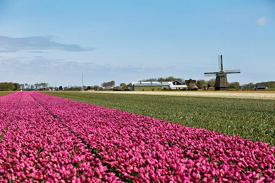 092 | 2024 | Umgebung von Sint Maartensvlotbrug | © carsten riede fotografie