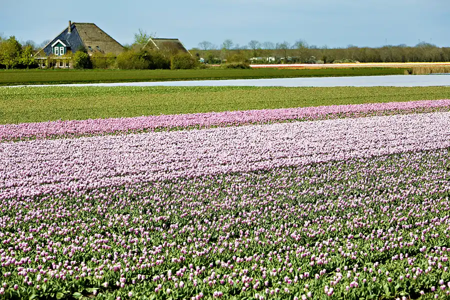 095 | 2024 | Umgebung von Sint Maartensvlotbrug | © carsten riede fotografie