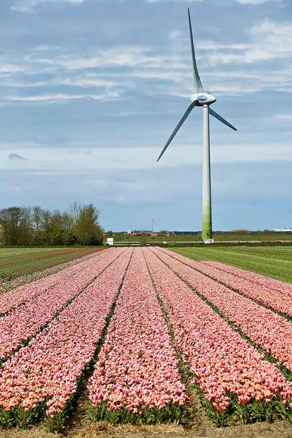 098 | 2024 | Umgebung von Sint Maartensvlotbrug | © carsten riede fotografie