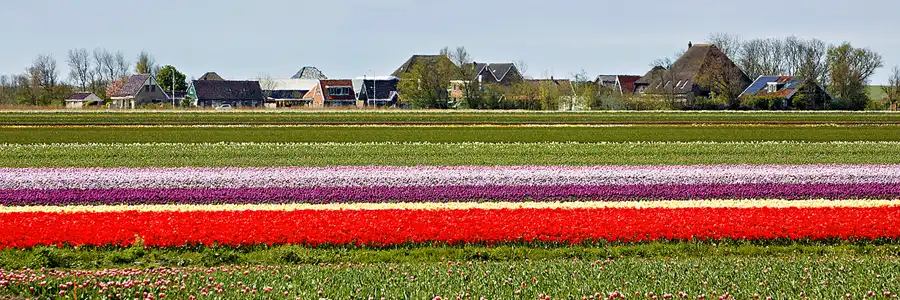 099 | 2024 | Umgebung von Sint Maartensvlotbrug | © carsten riede fotografie