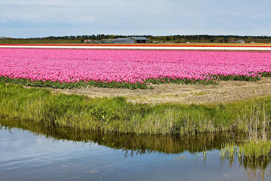 101 | 2024 | Umgebung von Sint Maartensvlotbrug | © carsten riede fotografie