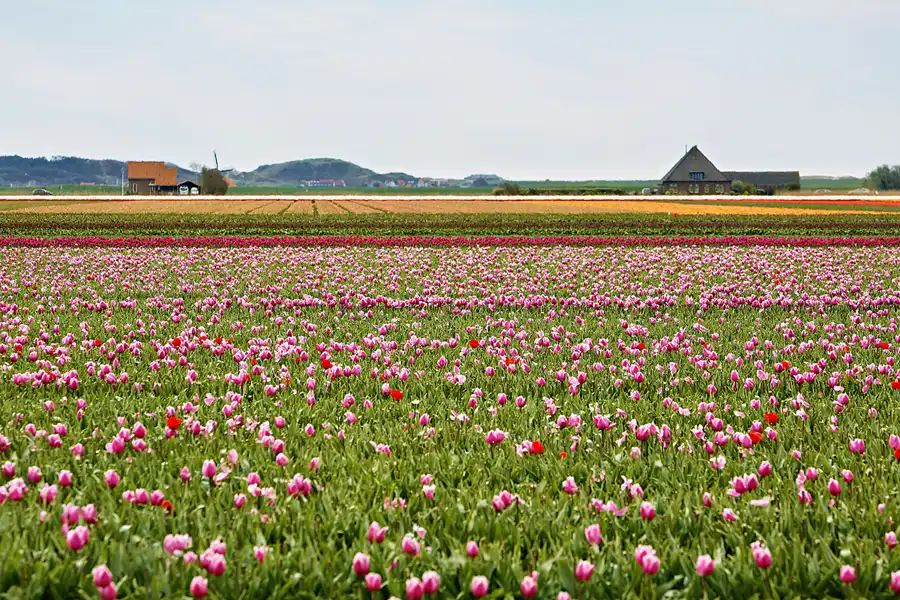 103 | 2024 | Umgebung von Sint Maartensvlotbrug | © carsten riede fotografie