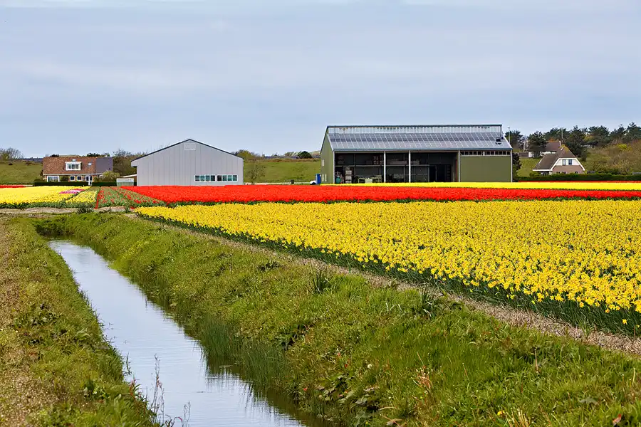104 | 2024 | Umgebung von Sint Maartensvlotbrug | © carsten riede fotografie