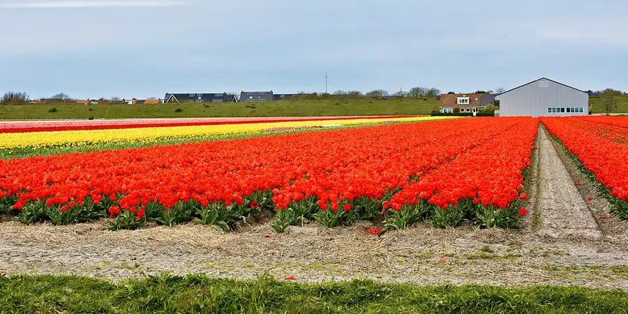 105 | 2024 | Umgebung von Sint Maartensvlotbrug | © carsten riede fotografie