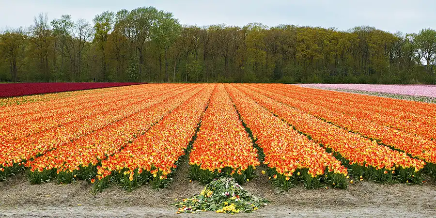 109 | 2024 | Umgebung von Sint Maartensvlotbrug | © carsten riede fotografie