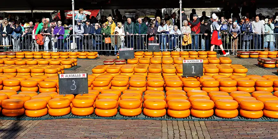 011 | 2024 | Alkmaar | Kaasmarkt | © carsten riede fotografie