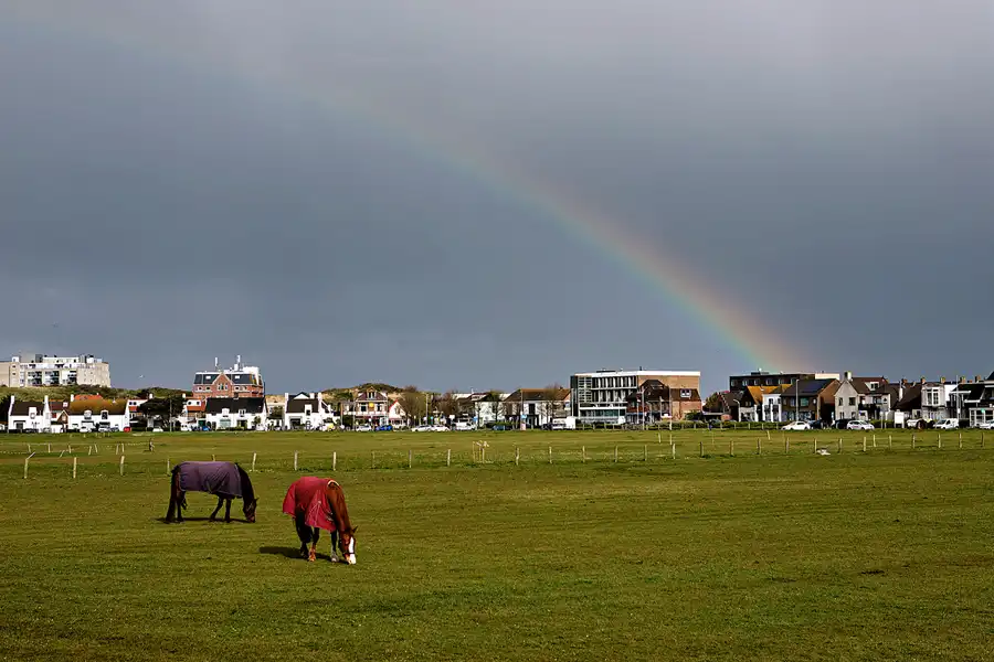 047 | 2024 | Wijk aan Zee | © carsten riede fotografie