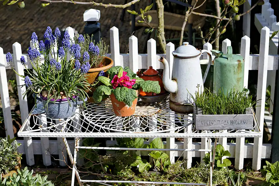 117 | 2024 | Zaanse Schans | © carsten riede fotografie