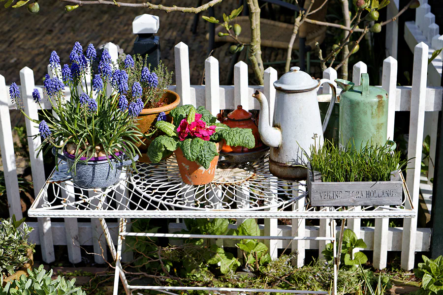 117 | 2024 | Zaanse Schans | © carsten riede fotografie