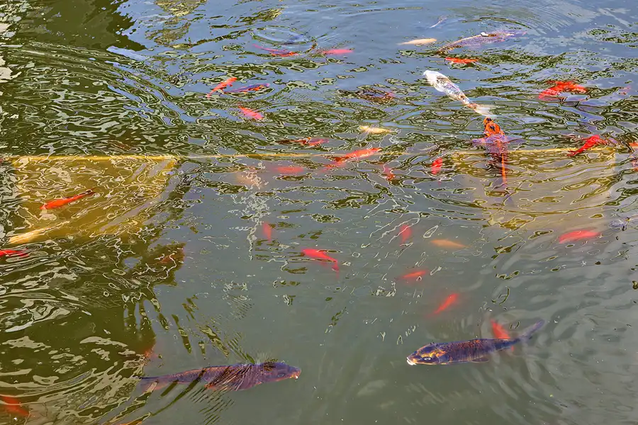 046 | 2024 | Dortmund | Kokerei Hansa | © carsten riede fotografie