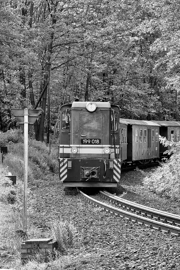 039 | 2024 | Bertsdorf | Zittauer Schmalspurbahn – Bahnhof Bertsdorf | © carsten riede fotografie