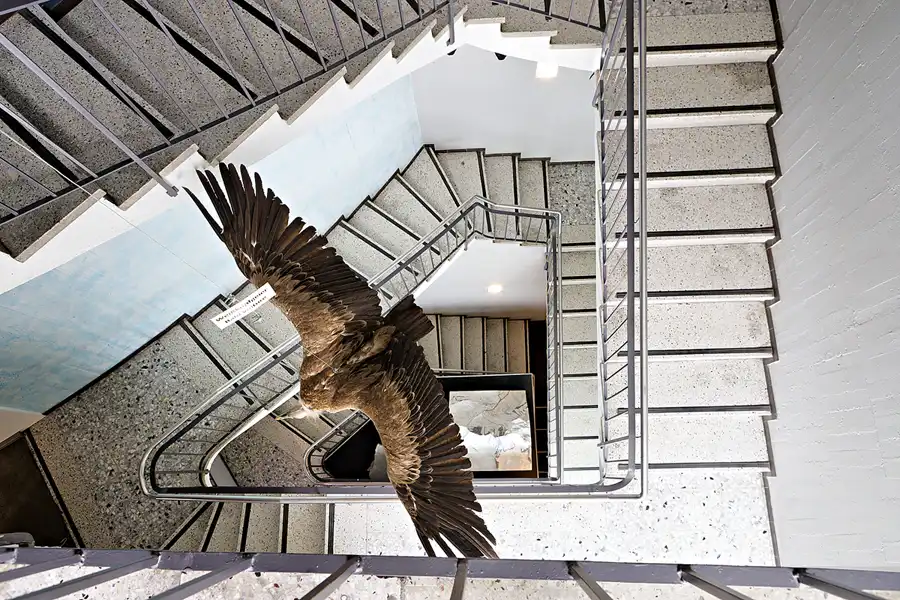 025 | 2024 | Grossglockner Hochalpenstrasse | © carsten riede fotografie