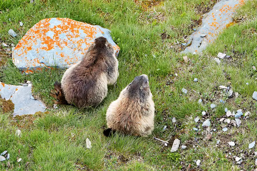053 | 2024 | Grossglockner Hochalpenstrasse | © carsten riede fotografie