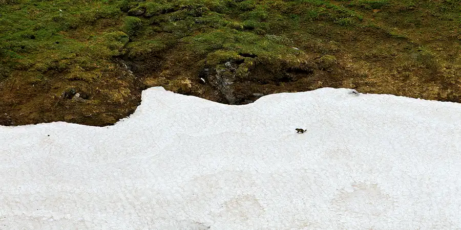 080 | 2024 | Grossglockner Hochalpenstrasse | © carsten riede fotografie