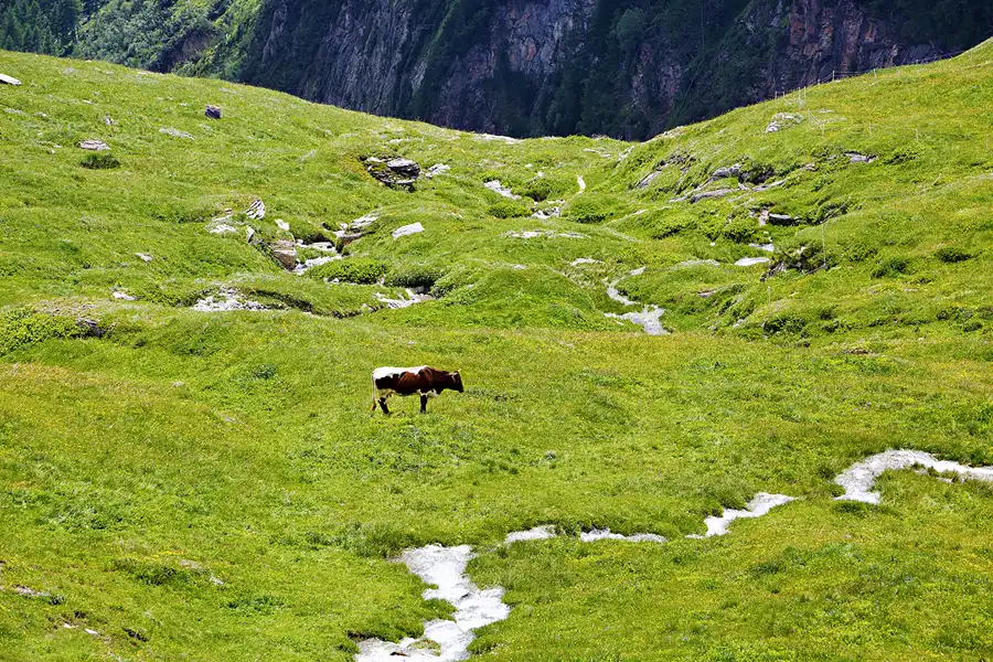 092 | 2024 | Grossglockner Hochalpenstrasse | © carsten riede fotografie