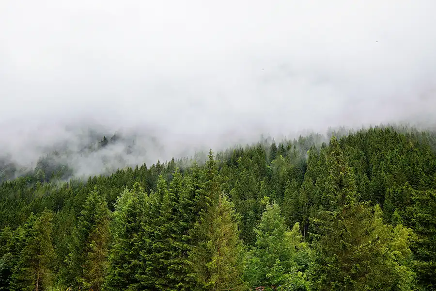 098 | 2024 | Grossglockner Hochalpenstrasse | © carsten riede fotografie