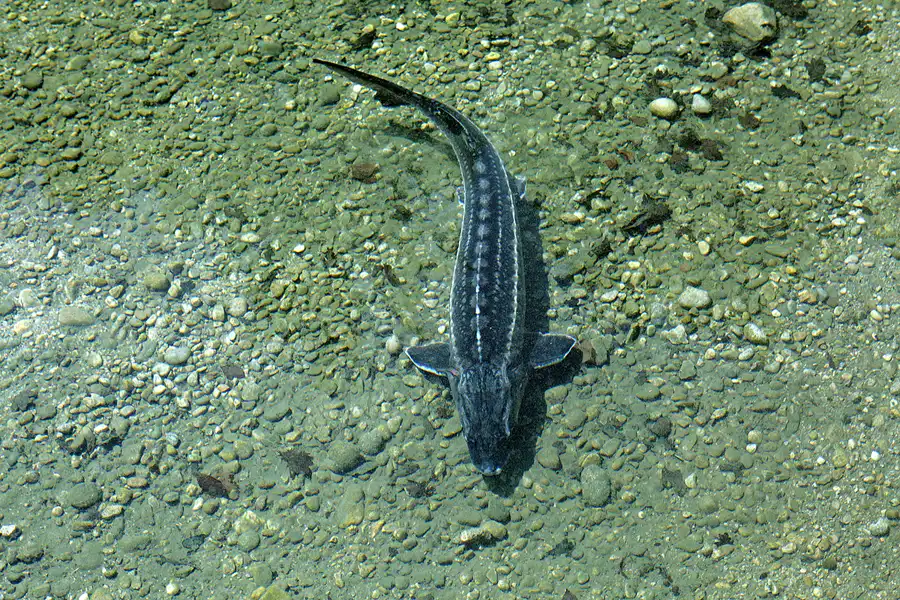 065 | 2024 | Salzburg | Schloss Hellbrunn | © carsten riede fotografie