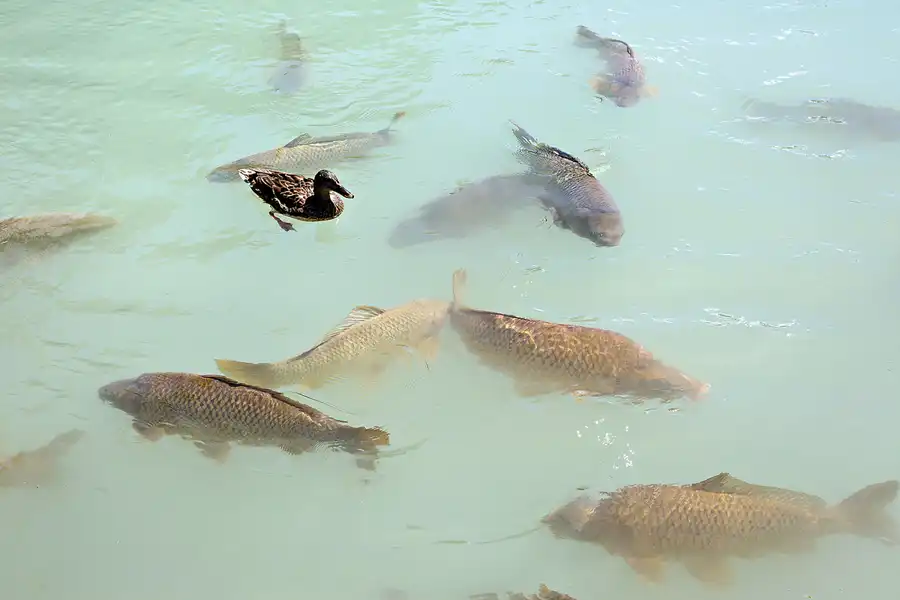 066 | 2024 | Salzburg | Schloss Hellbrunn | © carsten riede fotografie