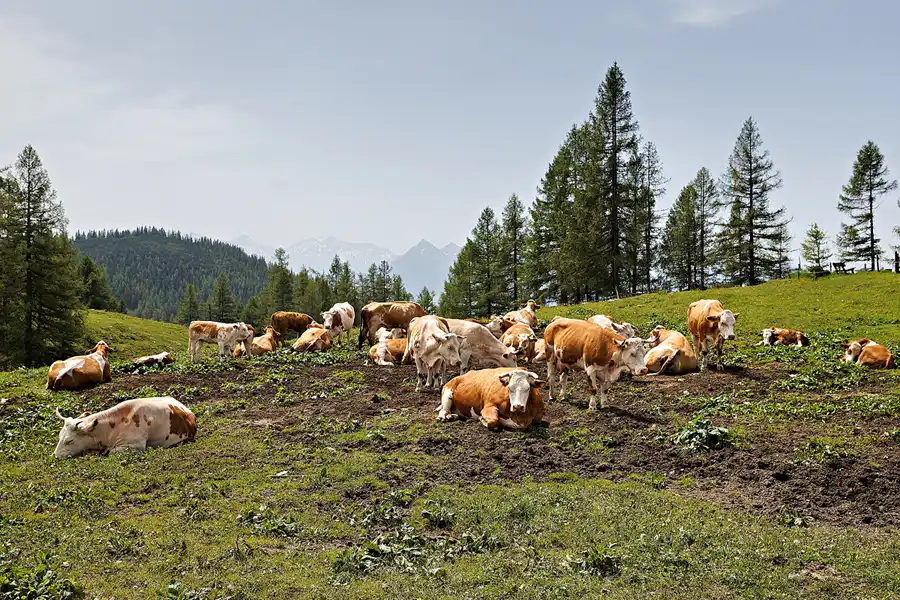 074 | 2024 | Ramsau am Dachstein | Dachstein | © carsten riede fotografie