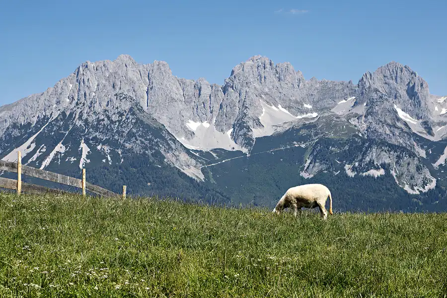 100 | 2024 | Going am Wilden Kaiser | Astberg | © carsten riede fotografie