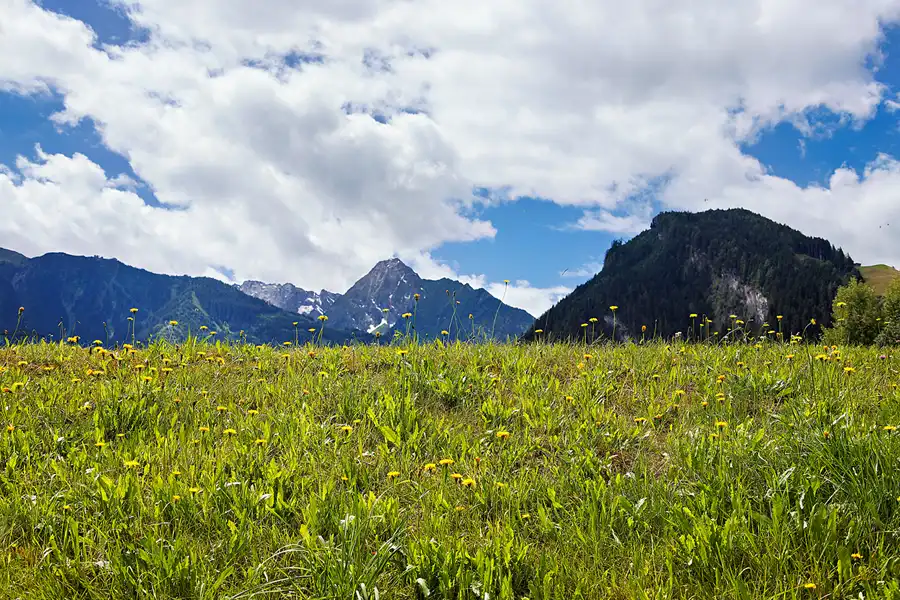138 | 2024 | Hoarberg | © carsten riede fotografie