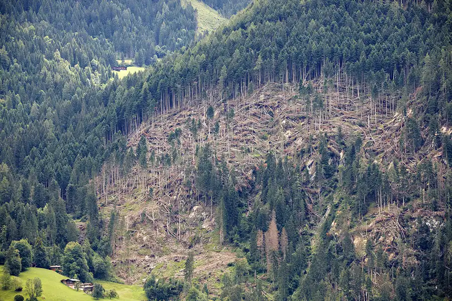 141 | 2024 | Hoarberg | © carsten riede fotografie