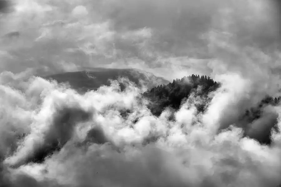029 | 2024 | Walchsee | © carsten riede fotografie