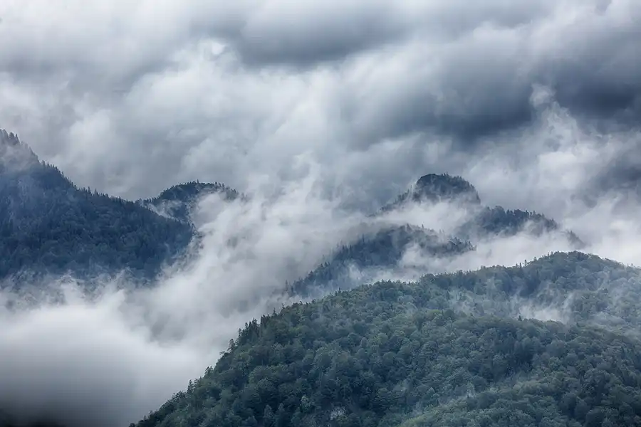 051 | 2024 | Walchsee | © carsten riede fotografie