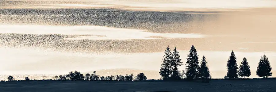 098 | 2024 | Walchsee | © carsten riede fotografie