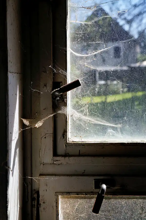 105 | 2024 | Grünhainichen OT Borstendorf | Kulturhaus Neues Leben – Betriebskulturhaus VEB Papierfabriken Grünhainichen | © carsten riede fotografie