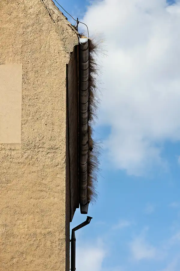 035 | 2024 | Mügeln | © carsten riede fotografie