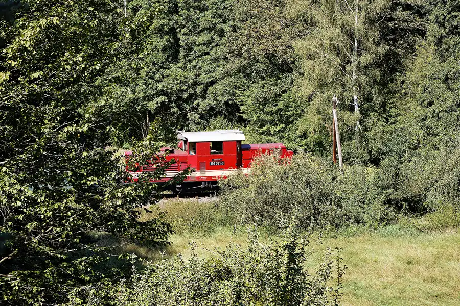 037 | 2024 | Oschatz | Wanderbrücken an der Döllnitz– Döllnitzbahn | © carsten riede fotografie