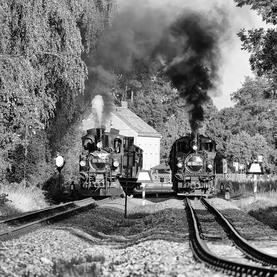 039 | 2024 | Mügeln OT Nebitzschen | Döllnitzbahn | © carsten riede fotografie