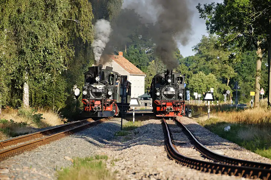 040 | 2024 | Mügeln OT Nebitzschen | Döllnitzbahn | © carsten riede fotografie