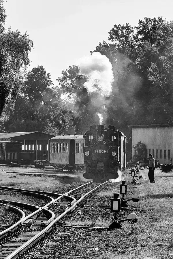 078 | 2024 | Mügeln | Bahnhof – Döllnitzbahn | © carsten riede fotografie