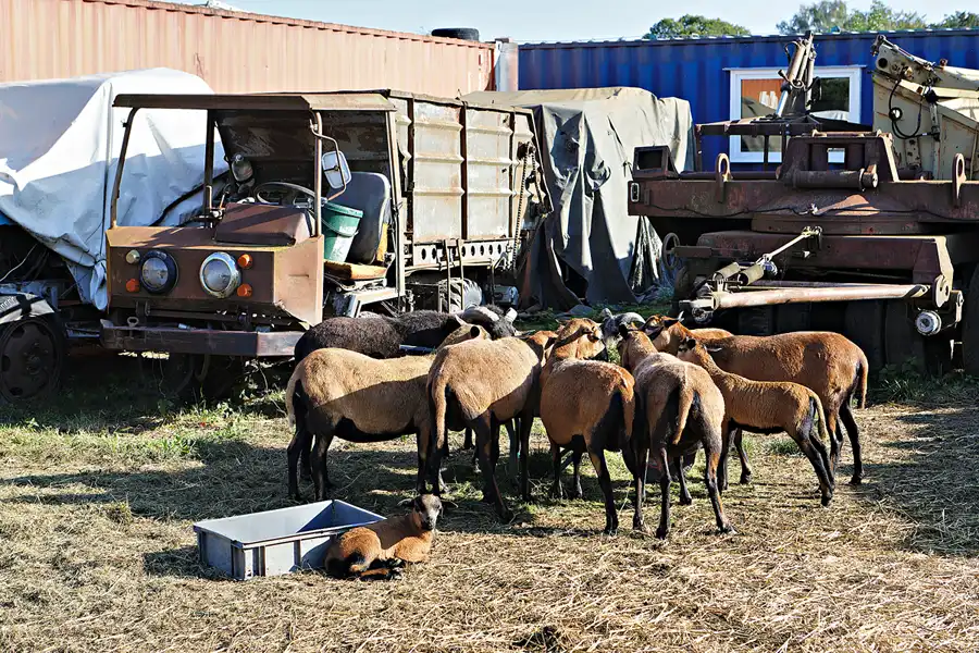 085 | 2024 | Reddelich | DDR Oldtimer Sammlung | © carsten riede fotografie