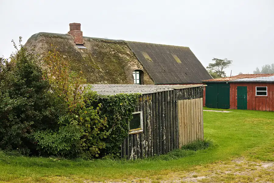 008 | 2024 | Pellworm | © carsten riede fotografie