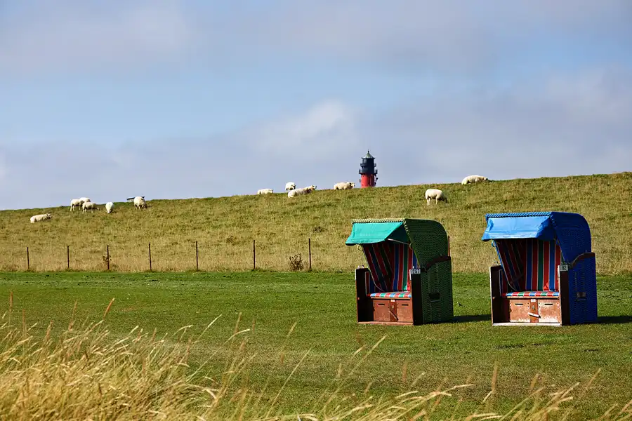 020 | 2024 | Pellworm | © carsten riede fotografie