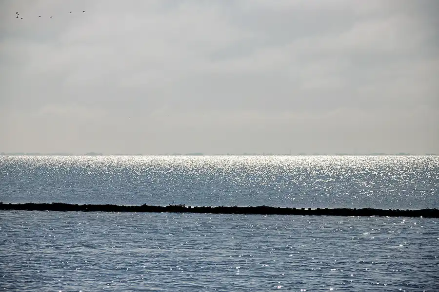 028 | 2024 | Pellworm | © carsten riede fotografie