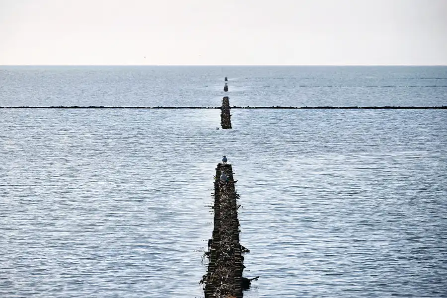 032 | 2024 | Pellworm | © carsten riede fotografie