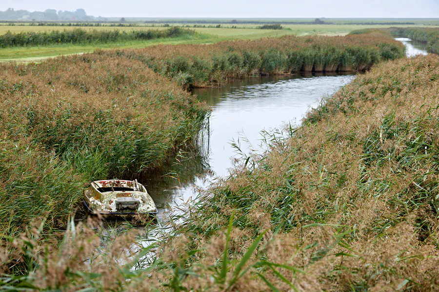 012 | 2024 | Pellworm | © carsten riede fotografie