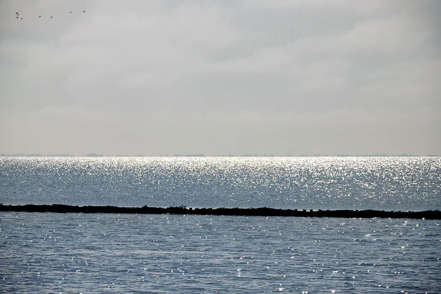 028 | 2024 | Pellworm | © carsten riede fotografie