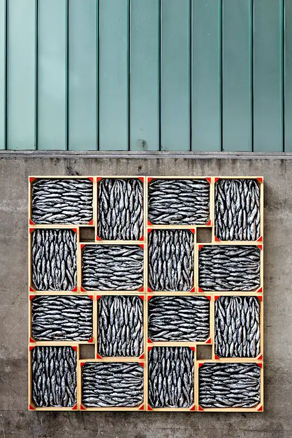 120 | 2024 | Büdelsdorf | Nordart im Kunstwerk Carlshütte | © carsten riede fotografie