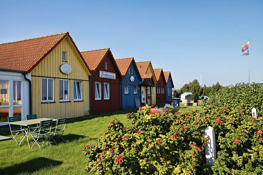 008 | 2024 | Amrum | © carsten riede fotografie