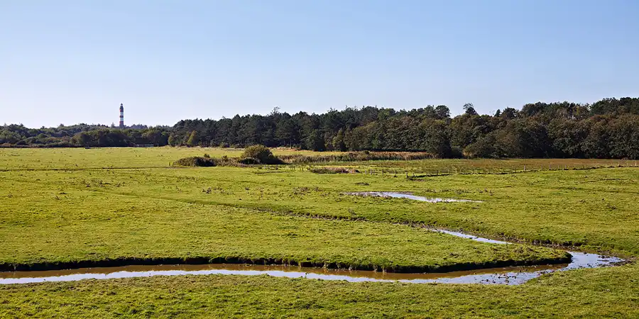 039 | 2024 | Amrum | © carsten riede fotografie
