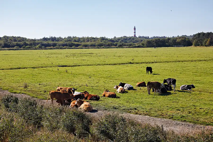 040 | 2024 | Amrum | © carsten riede fotografie