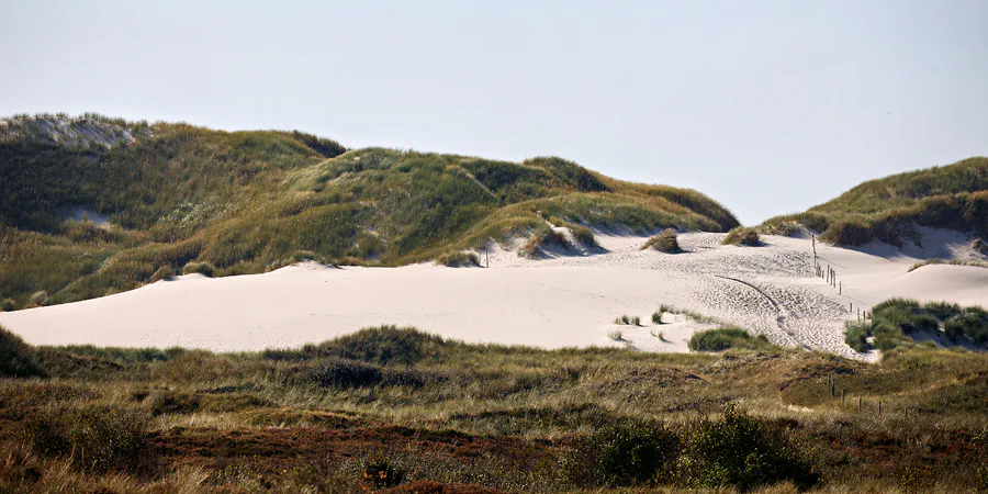 012 | 2024 | Amrum | © carsten riede fotografie