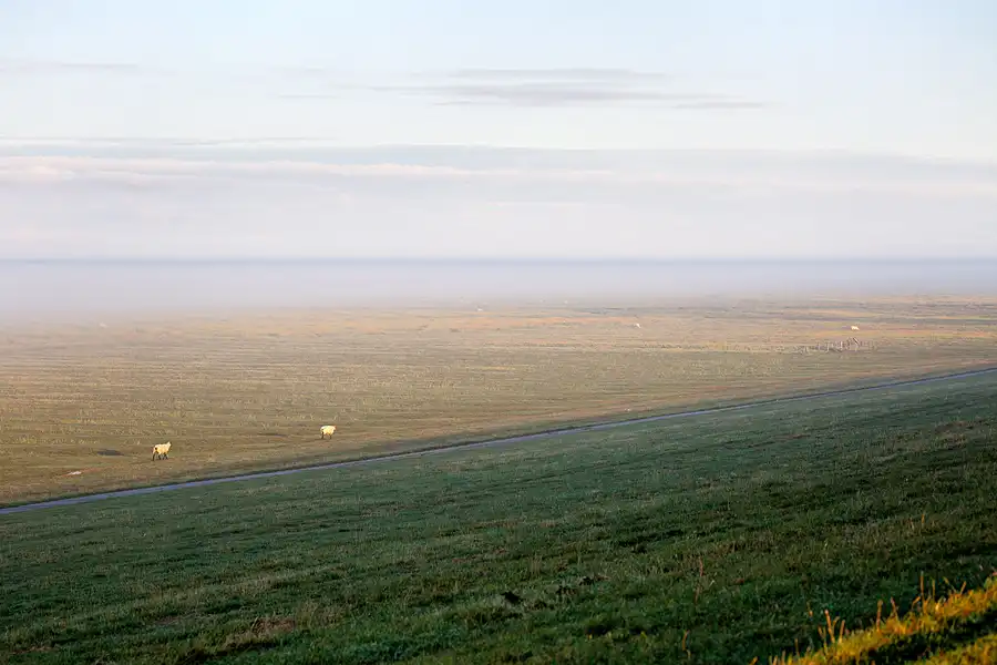 010 | 2024 | Westerhever | © carsten riede fotografie